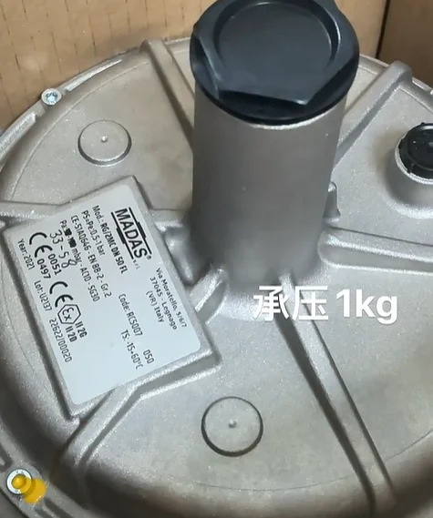 마다스 감압밸브 RG/2MC DN15 DN20 DN25 DN32 DN40 FL DN50