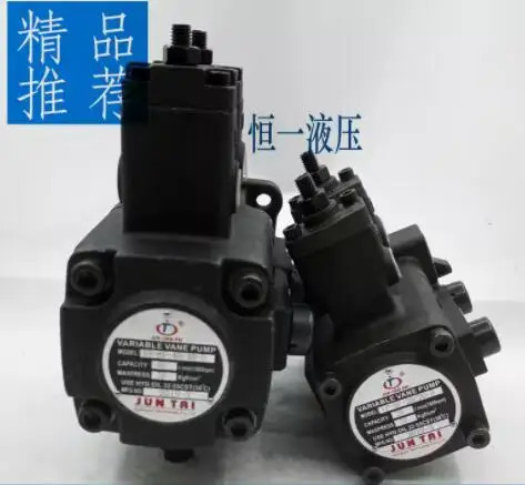 JUNTAI 오일 펌프 VP-DF-12D-12D VP-DF-15D-15D VP-DF-20D-20D VP-DF-30D-30D VP-DF-40D-40D