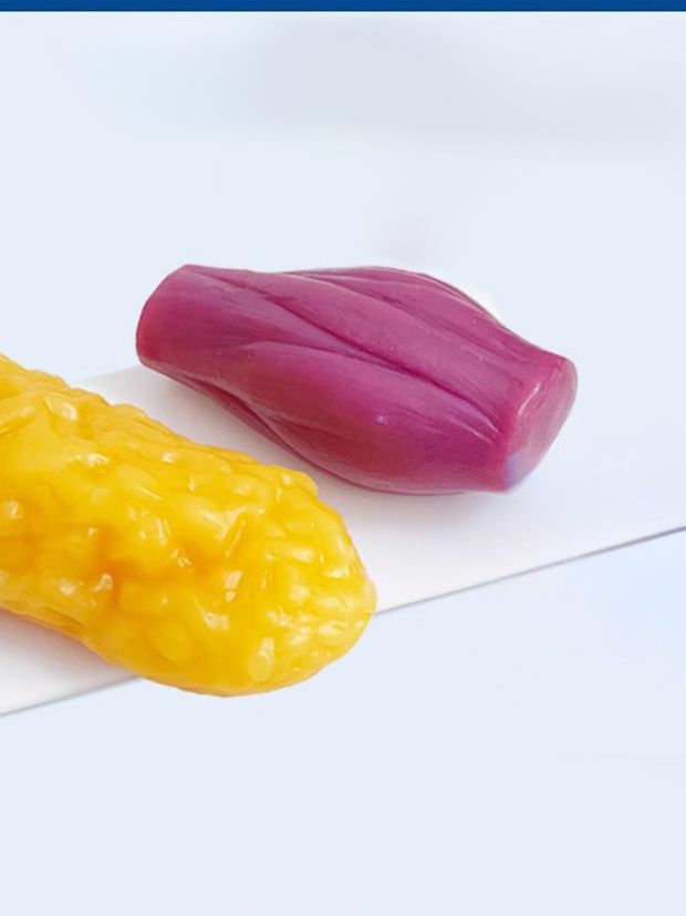 병원교육용 모형 체지방 1kg 지방덩어리 실습 해부학 의료 설명용 모델 실감 학교 - 상세 이미지 2