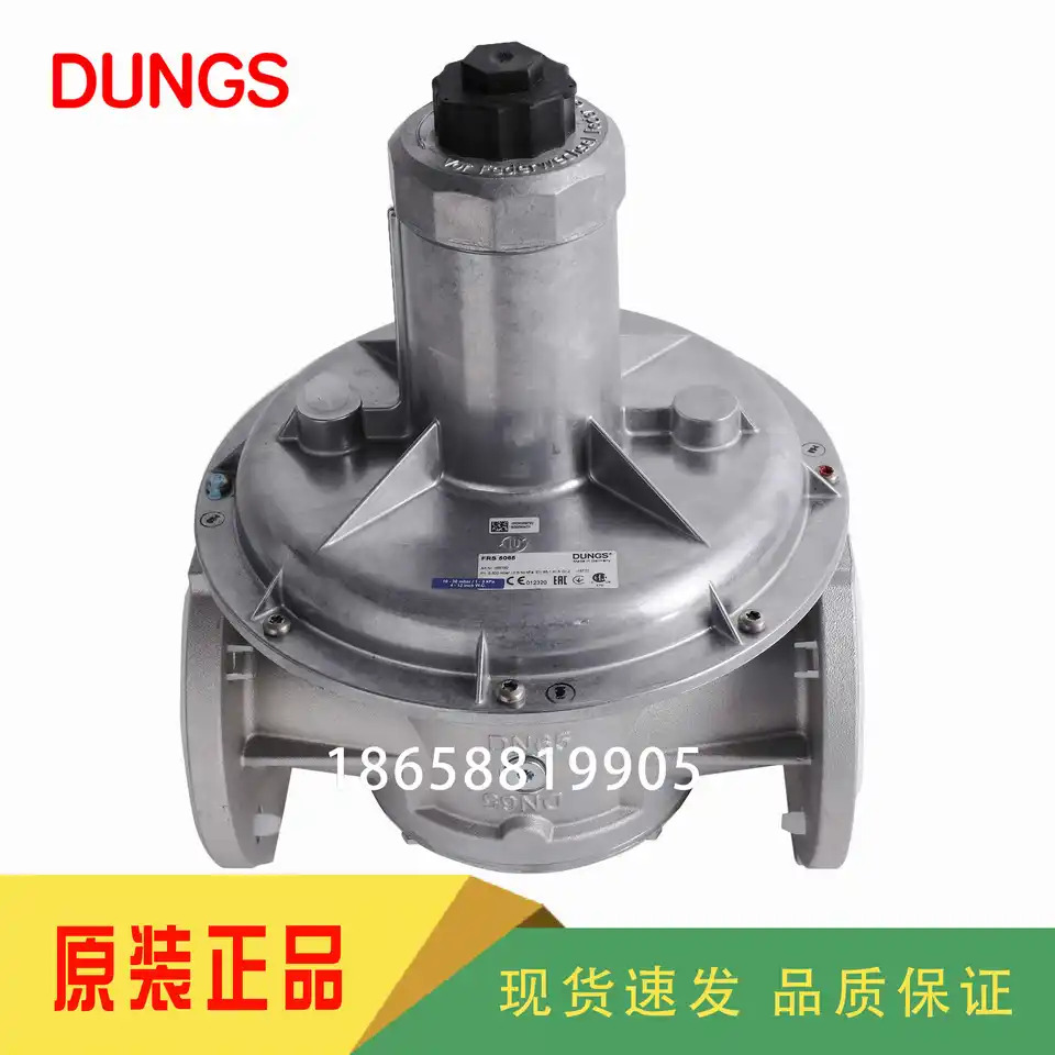 DUNGS FRS505 FRS507 FRS510 FRS515 FRS520 FRS5050 FRS5065 FRS5080 FRS5100