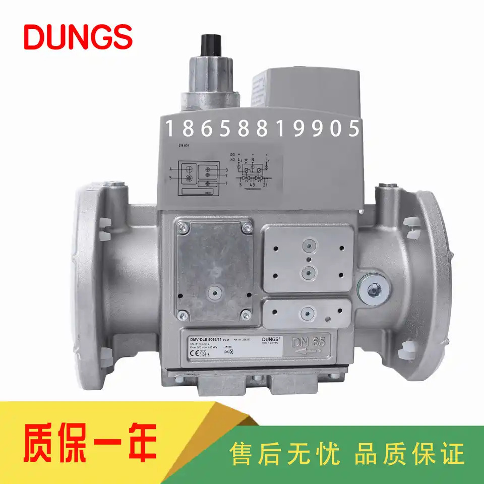 DUNGS DMV5065/11 DMV5080/11 DMV5100/11 DMV-D5065/11 DMV-D5080/11 DMV-D5100/11 DMV-DLE5065/11 DMV-DL