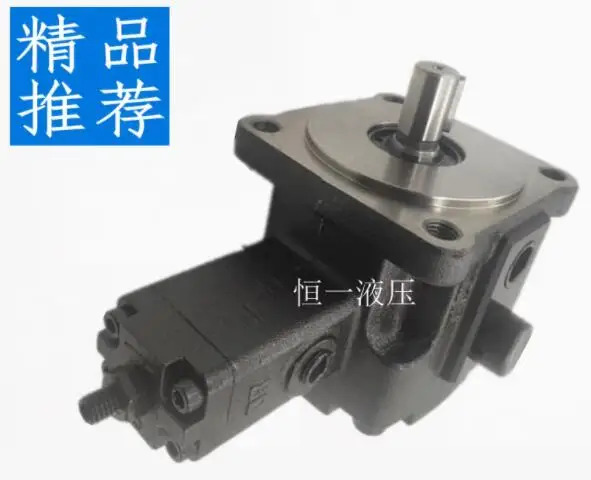 JUNTAI 베펌프 VP-SF-12-D VP-SF-15-D VP-SF-20-D VP-SF-30-D VP-SF-40-D