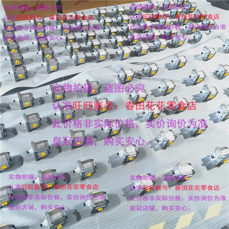 기어 펌프 11.10.024.00 SNP1NN2 2rn 01 BA P1 F3 Nnnn