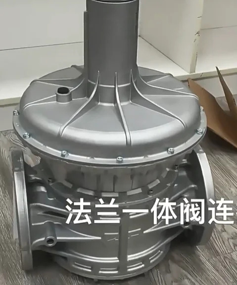 MADAS 감압밸브 RG/2MC DN100 RG/2MCS RC09 DN80 RX 090055 RCS100 RC 080062 DN65 2BAR