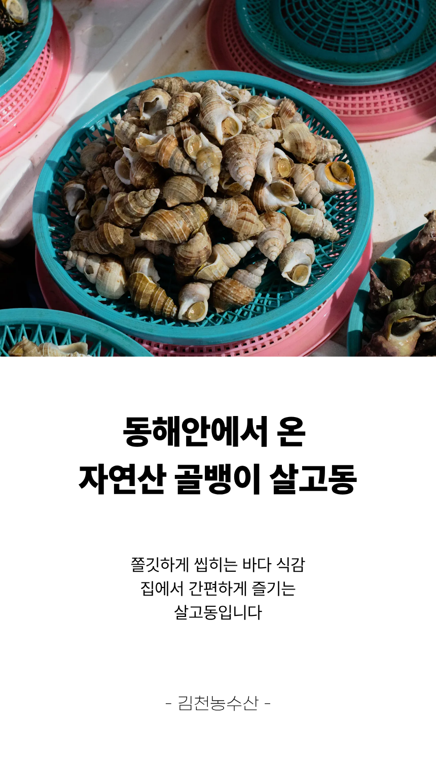포항 자연산 골뱅이 살고동 2kg