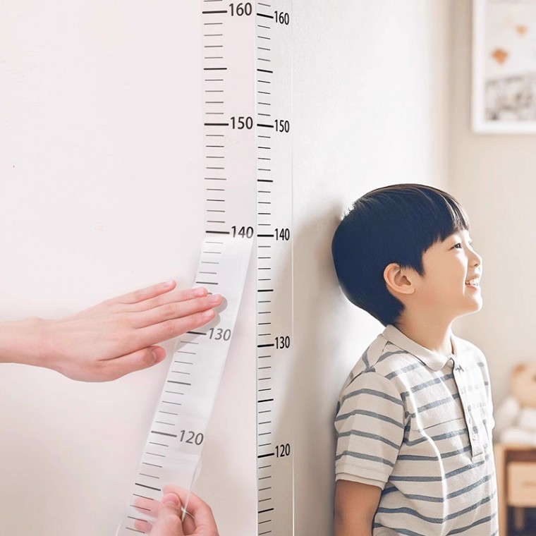 도모아 키재기 스티커 시트지 키측정 눈금자 200cm DD-13194 - 상품 이미지