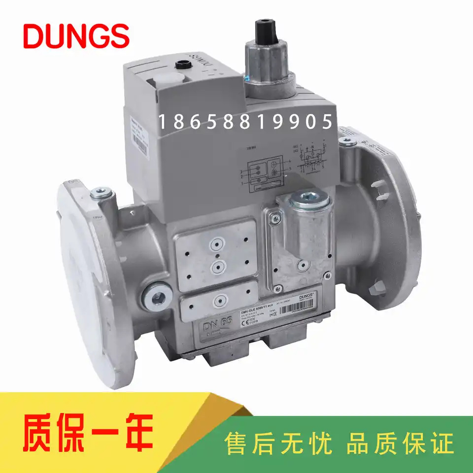 DUNGS DMV5065/11 DMV5080/11 DMV5100/11 DMV-D5065/11 DMV-D5080/11 DMV-D5100/11 DMV-DLE5065/11 DMV-DL