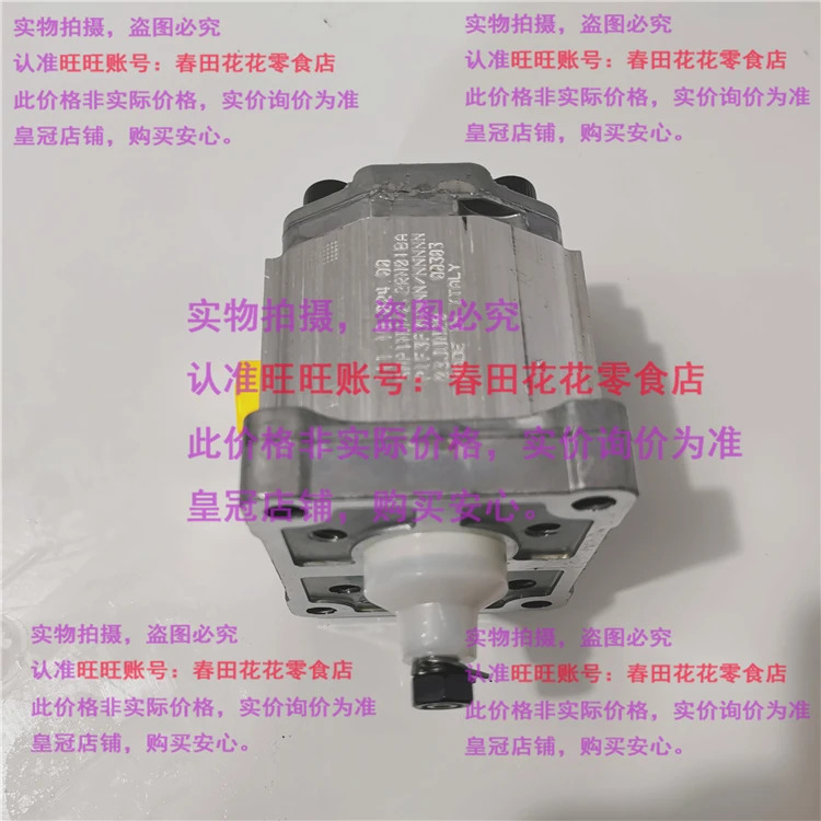 기어 펌프 11.10.024.00 SNP1NN2 2rn 01 BA P1 F3 Nnnn
