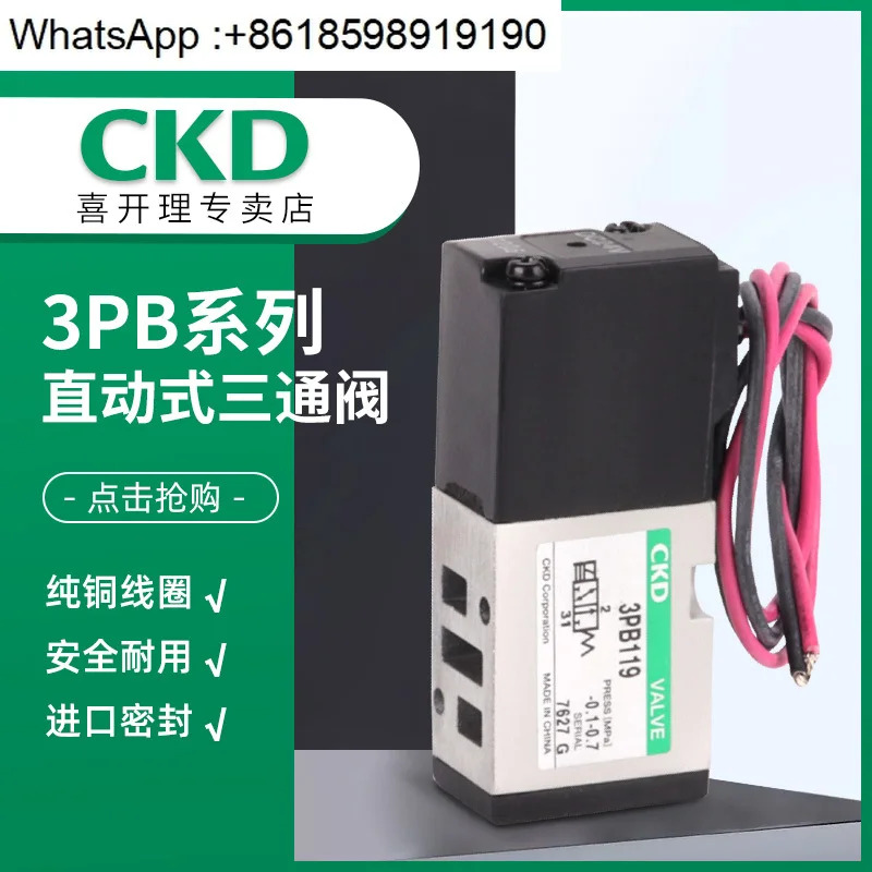 솔레노이드 밸브 3PB219-00-3/Z