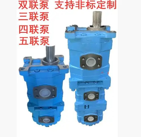 Chang Jiang 기어 펌프 CBY2025-1FR CBY2010-1FR 1FL 1TR 1TL CBY-1FR CBY2025-1FL CBY2032-1FR