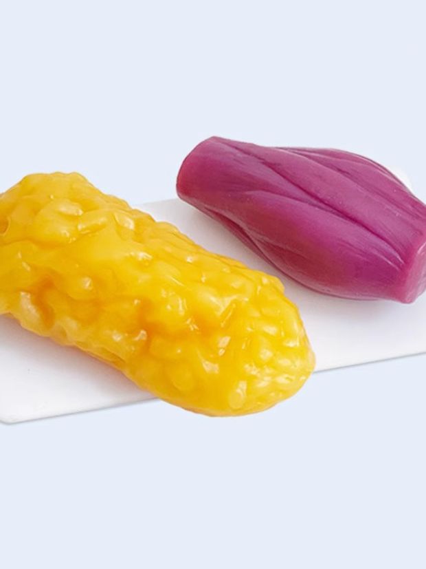 병원교육용 모형 체지방 1kg 지방덩어리 실습 해부학 의료 설명용 모델 실감 학교 - 상품 이미지