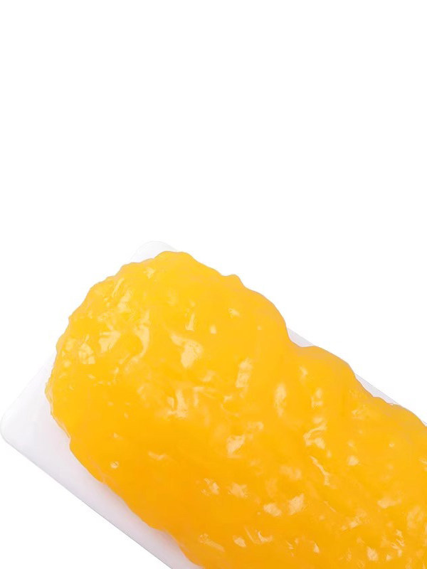 병원교육용 모형 체지방 1kg 지방덩어리 실습 해부학 의료 설명용 모델 실감 학교 - 상세 이미지 3