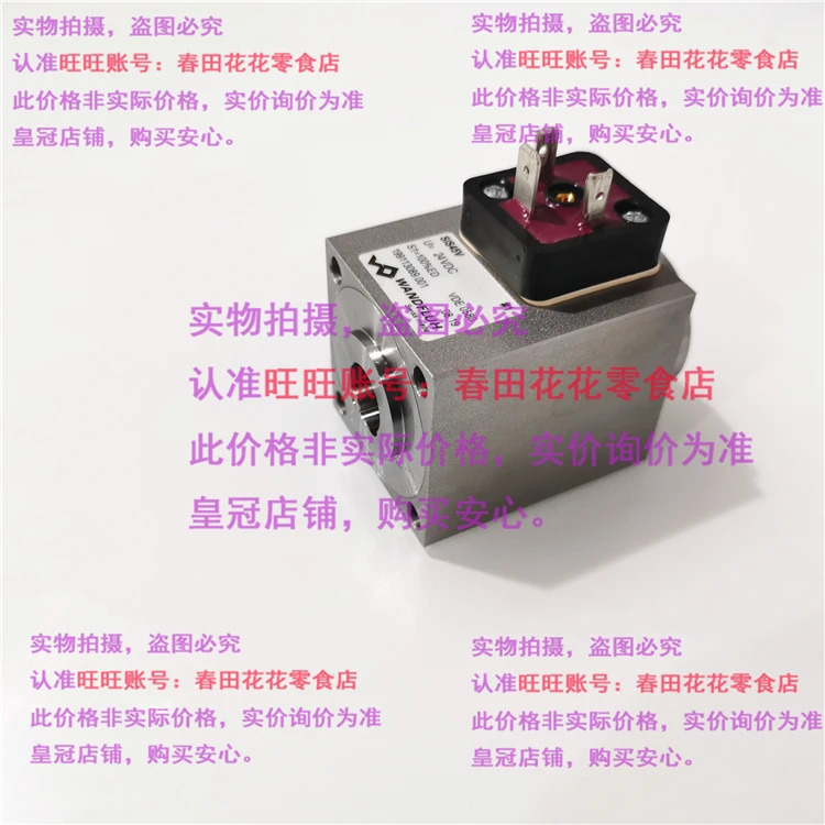 스위스 WanDFLUH 전자기 코일 SIS45V 24VDC 199113089