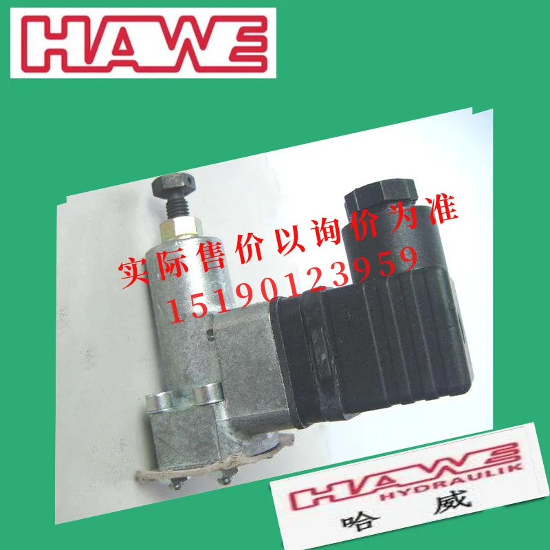 독일 Hawe 오리지널 압력 스위치 릴레이 DG33 DG34 DG35 DG36 DG365