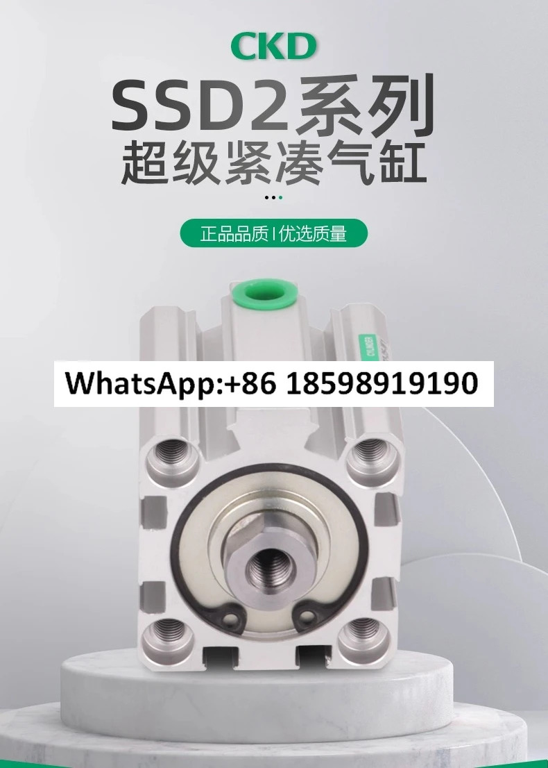 CKD 실린더 표준 SSD2 50 20 W1