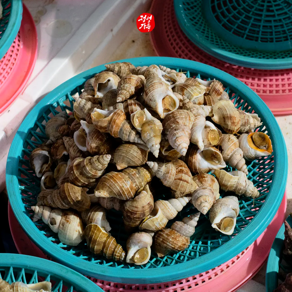 포항 자연산 골뱅이 살고동 2kg - 상품 이미지