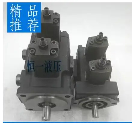 WINMOST 가변 베펌프 VP-DF-30B/30B VP DF 20A 12A VP-DF-20A-20A