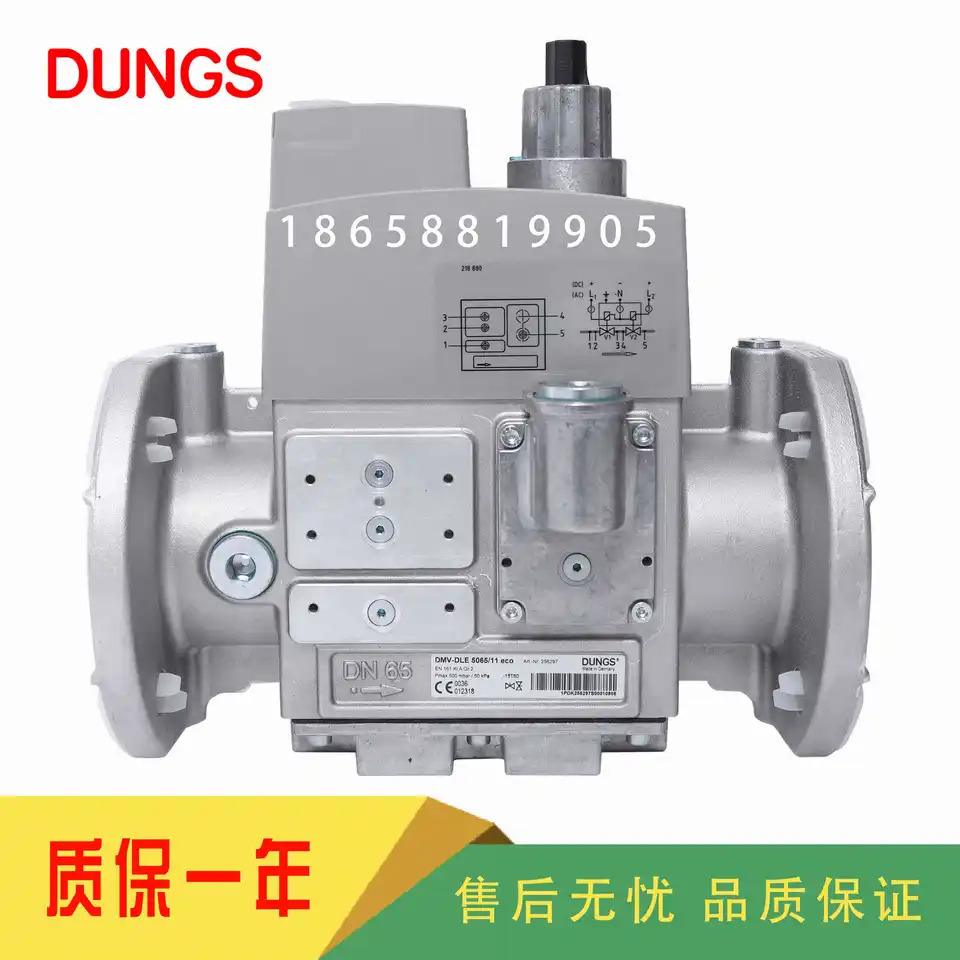 DUNGS DMV5065/11 DMV5080/11 DMV5100/11 DMV-D5065/11 DMV-D5080/11 DMV-D5100/11 DMV-DLE5065/11 DMV-DL
