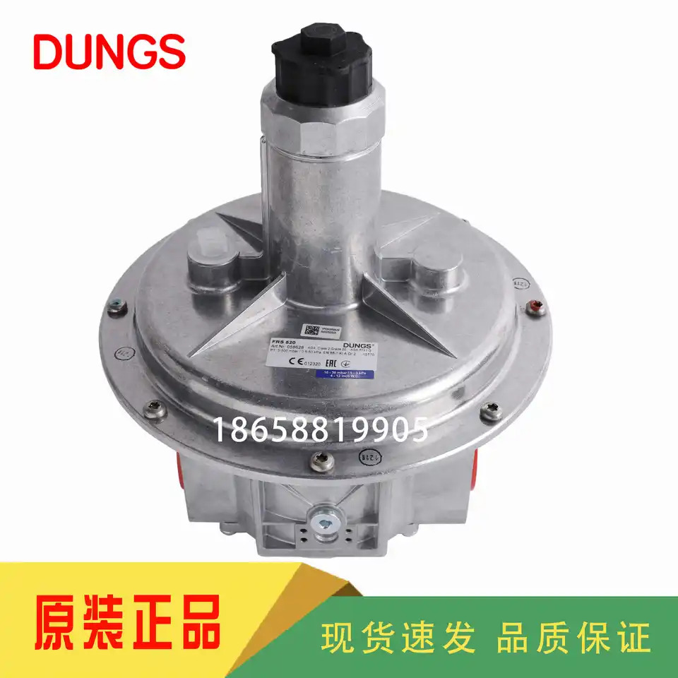 DUNGS FRS505 FRS507 FRS510 FRS515 FRS520 FRS5050 FRS5065 FRS5080 FRS5100