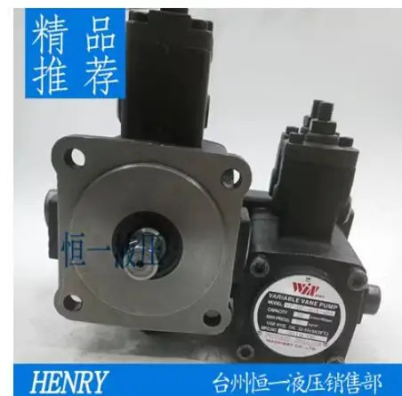 WINMOST 가변 베펌프 VP-DF-30B/30B VP DF 20A 12A VP-DF-20A-20A