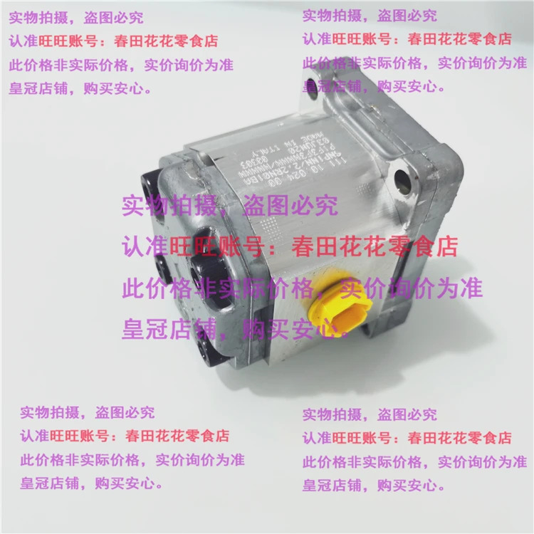 기어 펌프 11.10.024.00 SNP1NN2 2rn 01 BA P1 F3 Nnnn