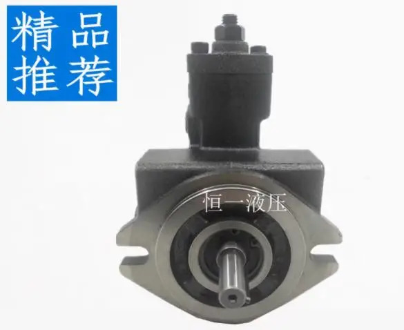 JUNTAI 베펌프 VP-SF-12-D VP-SF-15-D VP-SF-20-D VP-SF-30-D VP-SF-40-D