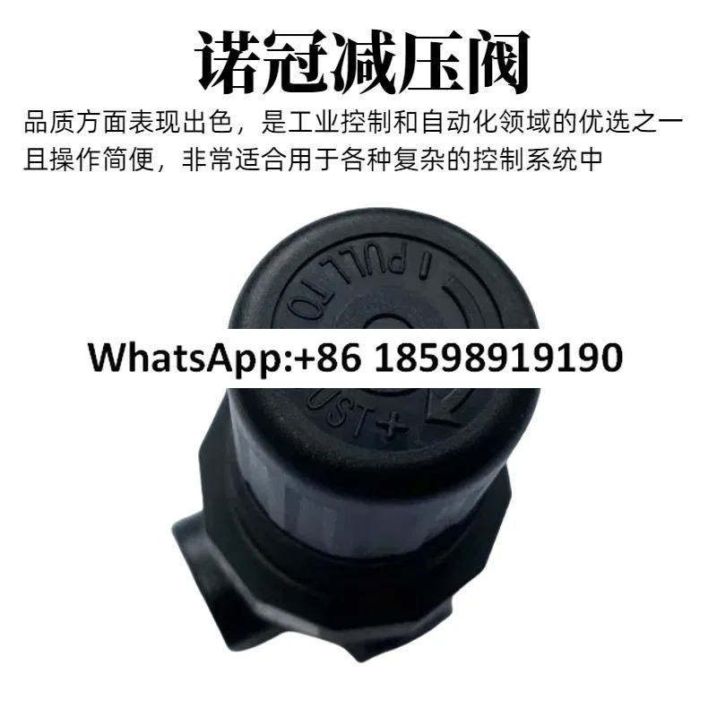 R07 200 RNKG NORGREN 압력 조절기 100 RNKA RNEG RNAG RNKB RNEA