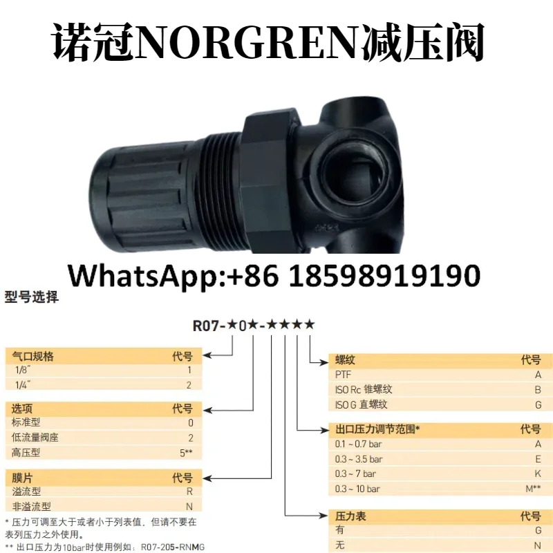 R07 200 RNKG NORGREN 압력 조절기 100 RNKA RNEG RNAG RNKB RNEA