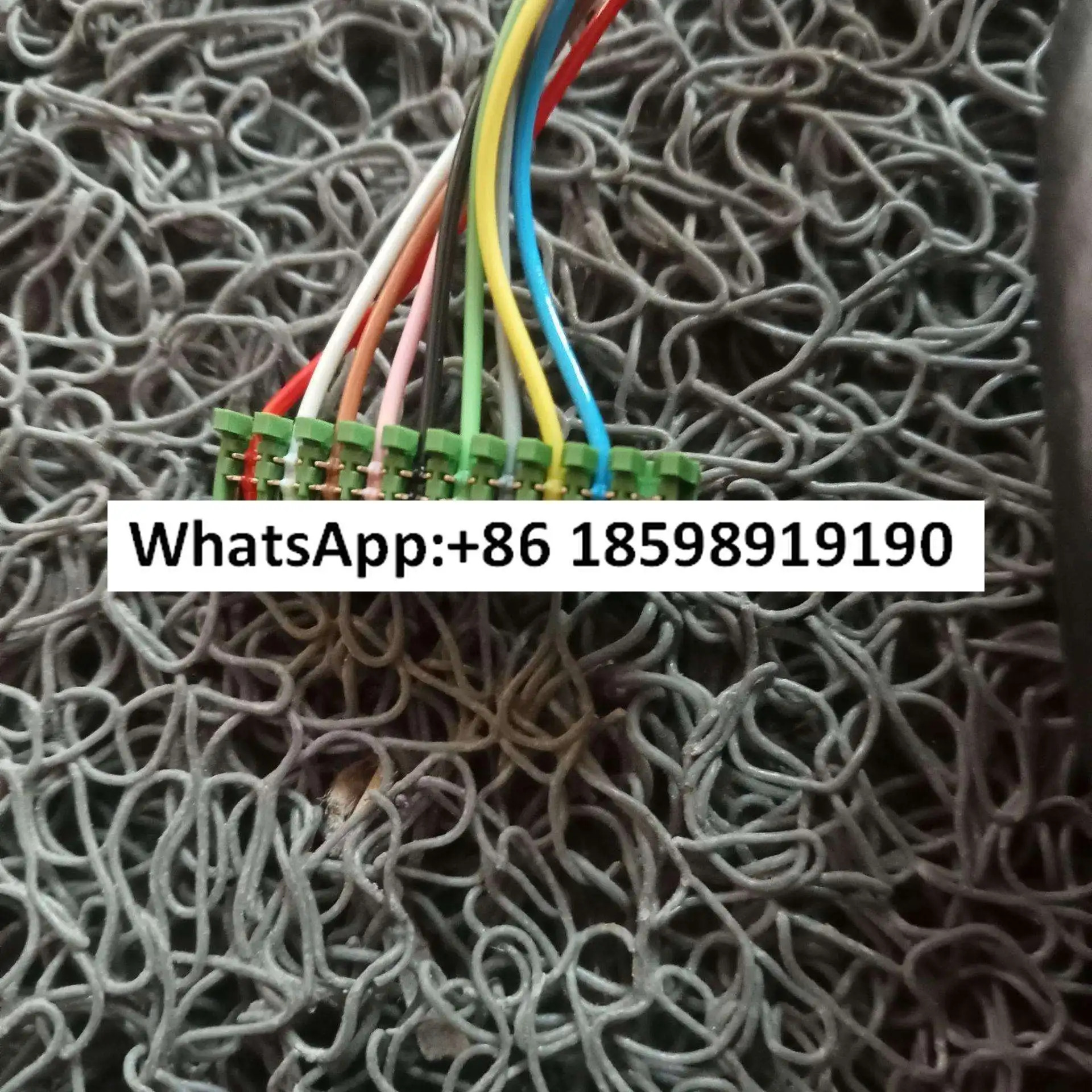 독일 인코더 GEL2444KNSG3K150 광전