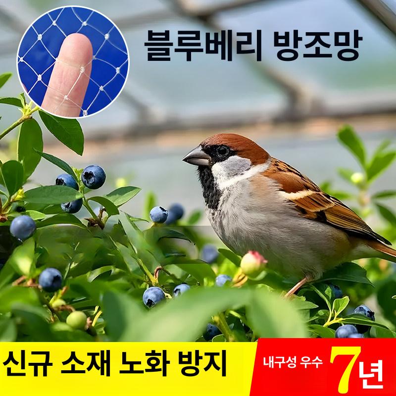 올렌토 블루베리방조망 방조망 새망 블루베리망 8m x 8m - 상품 이미지