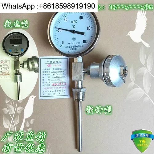 WSSP411 원격 전송 바이메탈 온도계 pt100 출력 4-20maWTYY1021