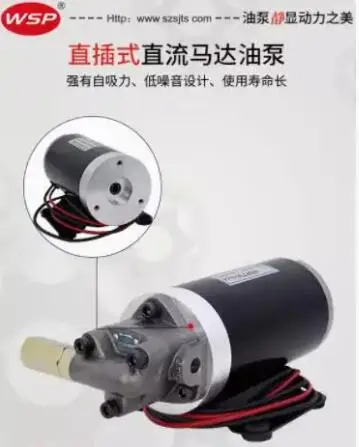 WSP 유정 펌프 ROP-11A-730Z-DC24V ROP-12A/10A/13A-730Z-DC24V ROP-13A-730Z-DC12V ROP-10A/11A/12A-730Z-DC1