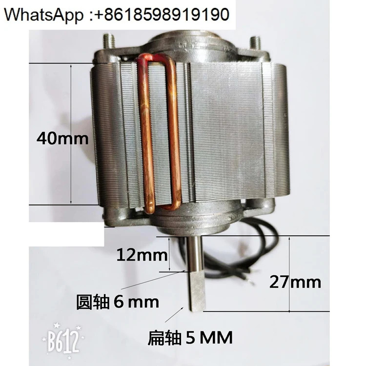 윤활 펌프 모터 YM300G TL6040D 섀도우 폴 리버 밸리 오일 220V110V