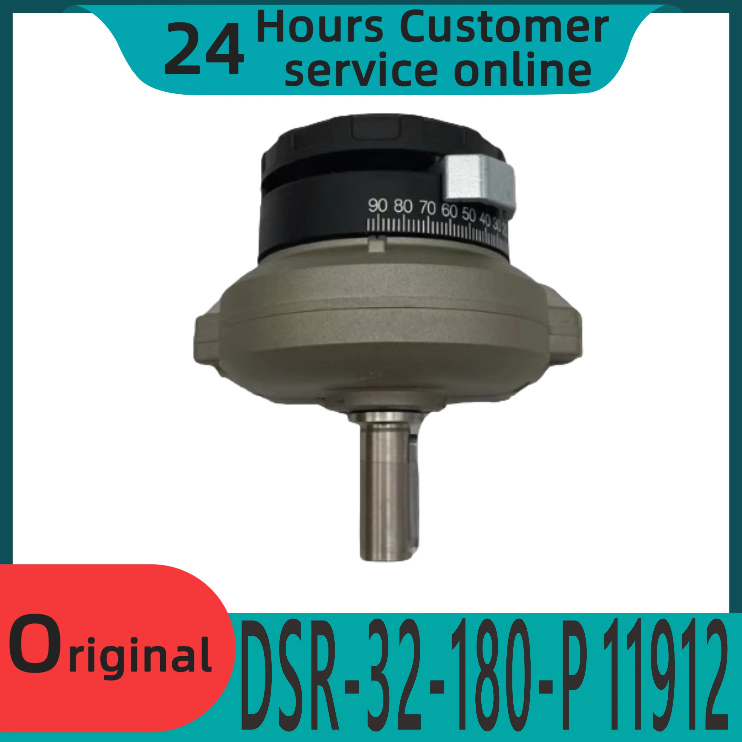 축 각도 이동 드라이버 DSR-32/40-180-P 11912 13467을 갖춘 오리지널 스윙 실린더