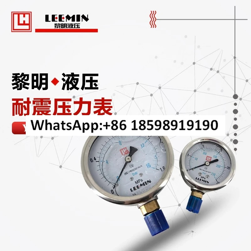 지진 압력계 63 다이얼 100YN63I IV III2.5 4 625 4060MPA