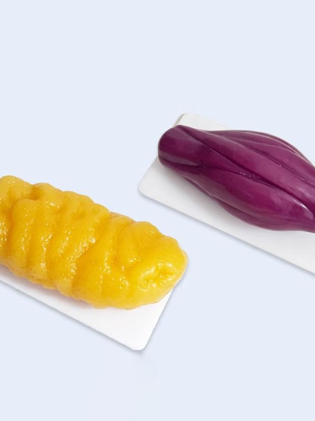 병원교육용 모형 체지방 1kg 지방덩어리 실습 해부학 의료 설명용 모델 실감 학교 - 상세 이미지 4