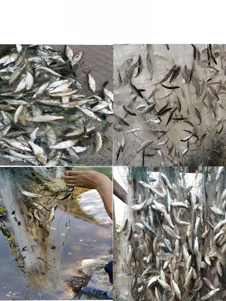 접이식 대형통발 양식장 민물 어망 물고기 건지기 투망 바다통발 치어사육 너비 기본 - 상세 이미지 5