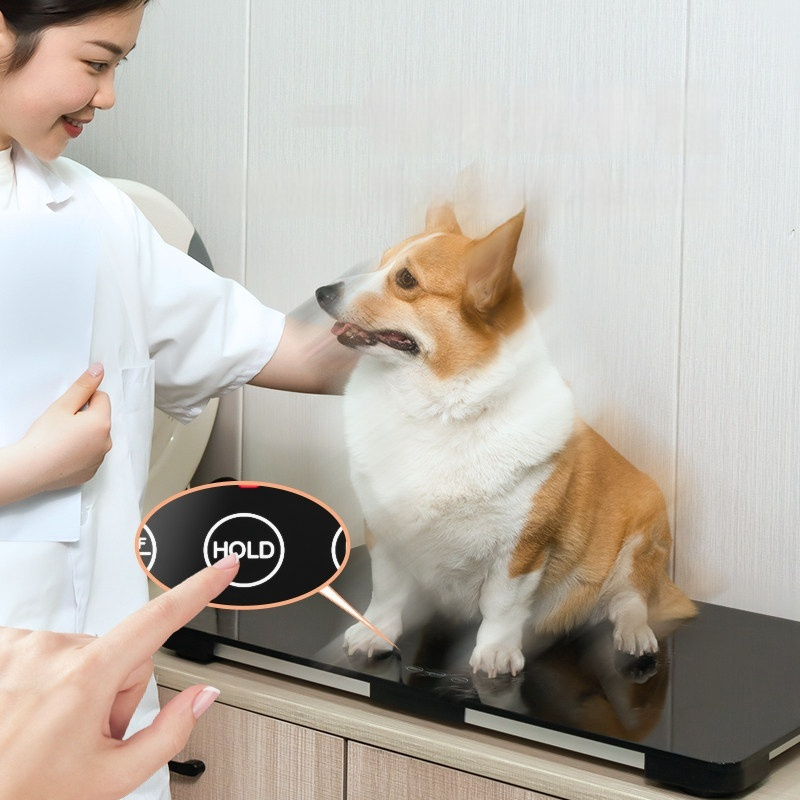 강아지 체중계 반려동물 저울 동물병원 측정기 체중측정 펫용품 동물용품 - 상품 이미지