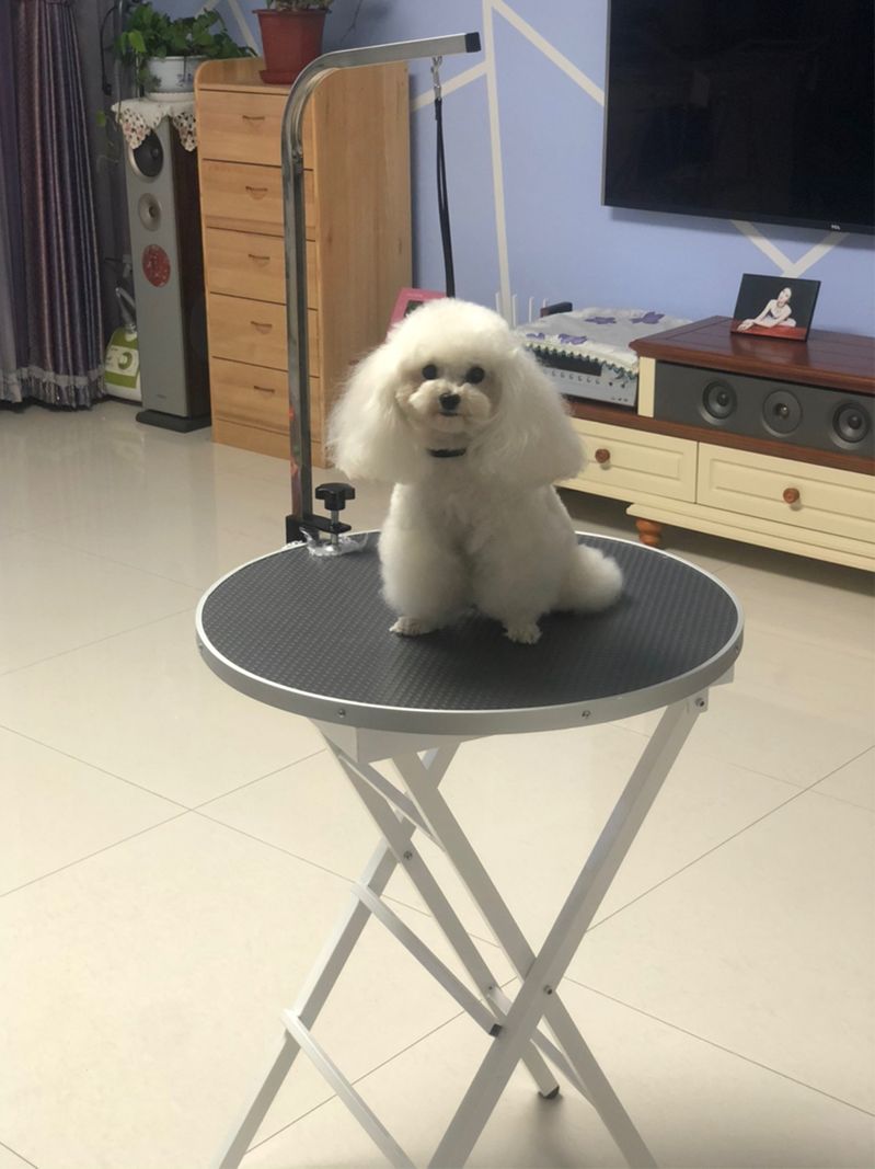 강아지 미용테이블 그루밍 접이식 개 조절 건조 가능한 올가미 대형 미끄럼 작업대 - 상품 이미지