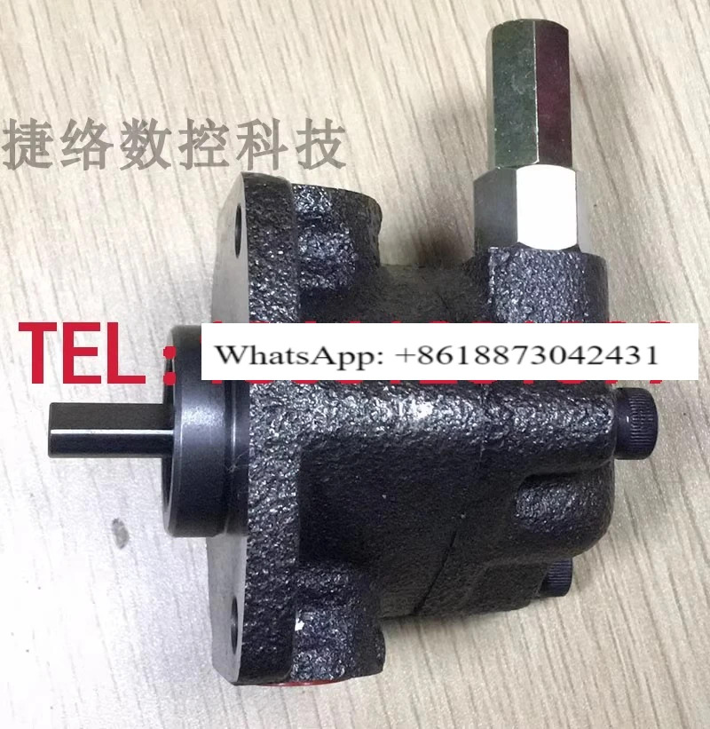CHENYING 대만성 Changhua Zhenrong 모터 펌핑 오일 공급 삼각형 펌프 CYP-10A-11A-12A-13B