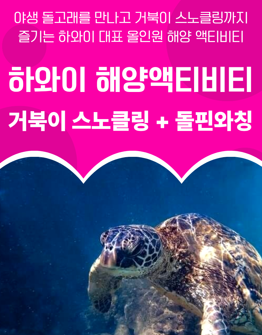 하와이 거북이 스노클링 & 돌고래 와칭 , 해양액티비티 포함 올인원 투어 - 상품 이미지