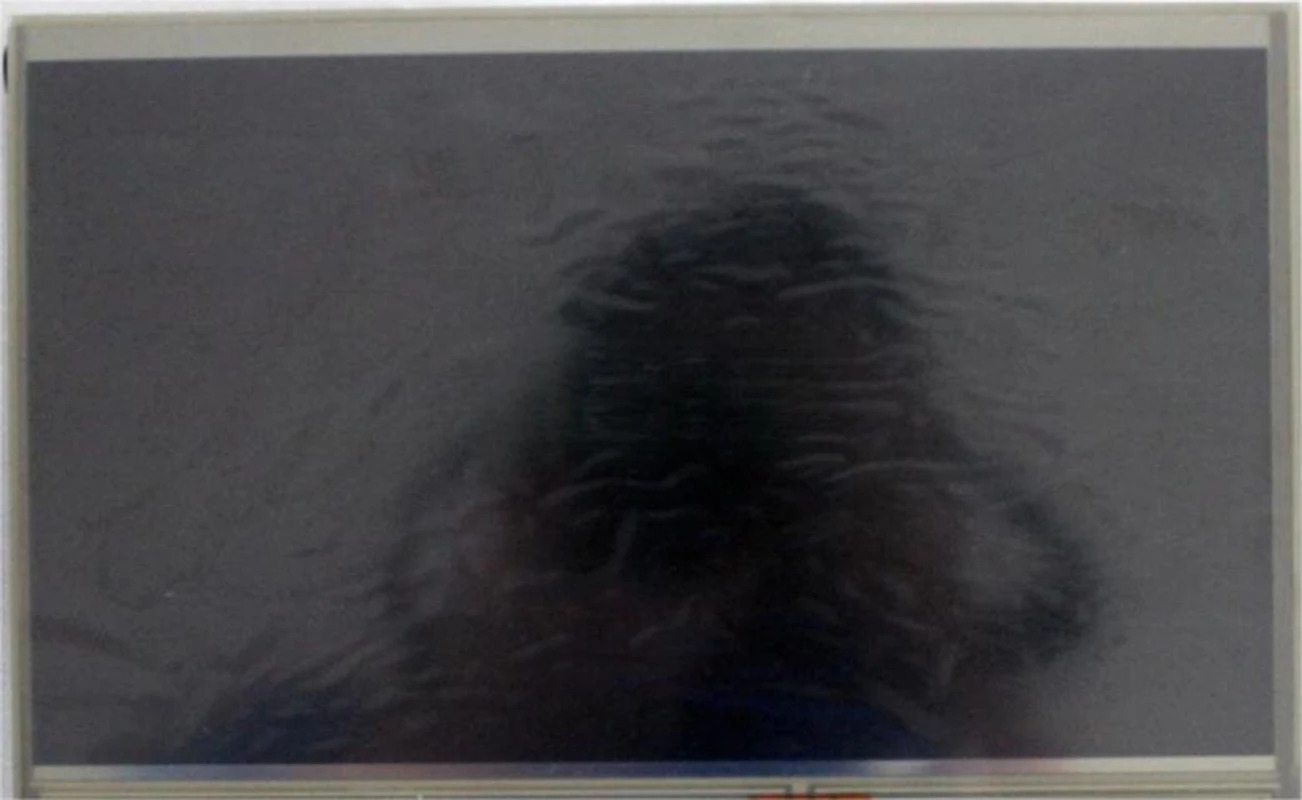 AM-1024600L2HMQW-T01H LCD 디스플레이 화면