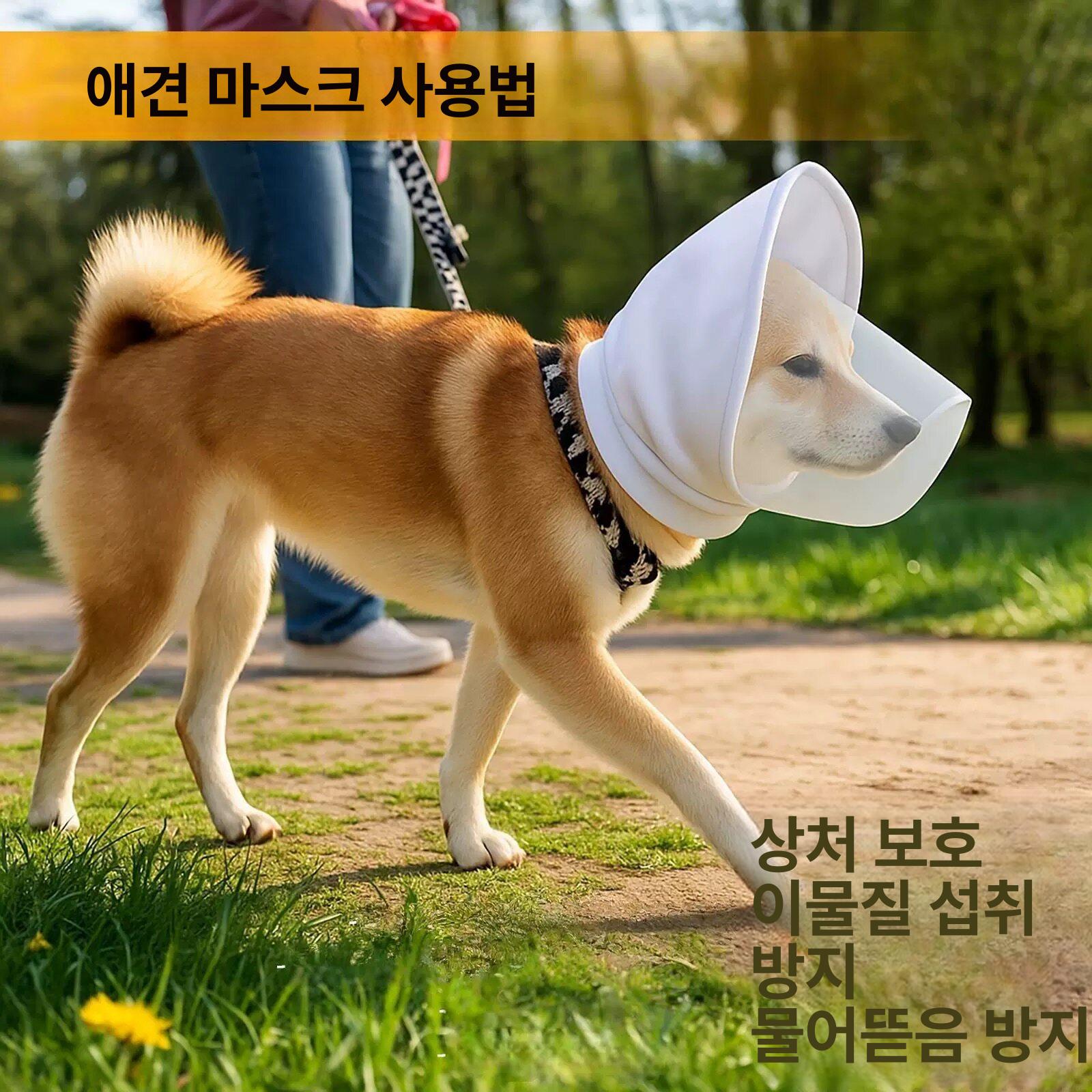 강아지 해충방지망 메쉬 버그가드 벌레 커버 먹지말개 보호 그물 - 상세 이미지 4