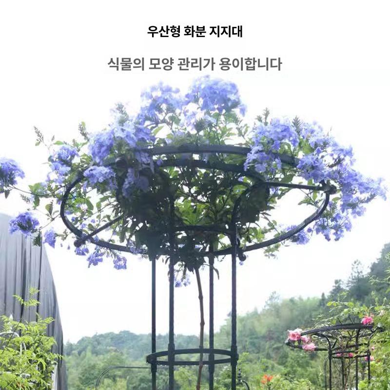 가든 철제 아치형 장미 넝쿨지지대 베란다 발코니 펜스 받침대 원형 가드닝 - 상세 이미지 4