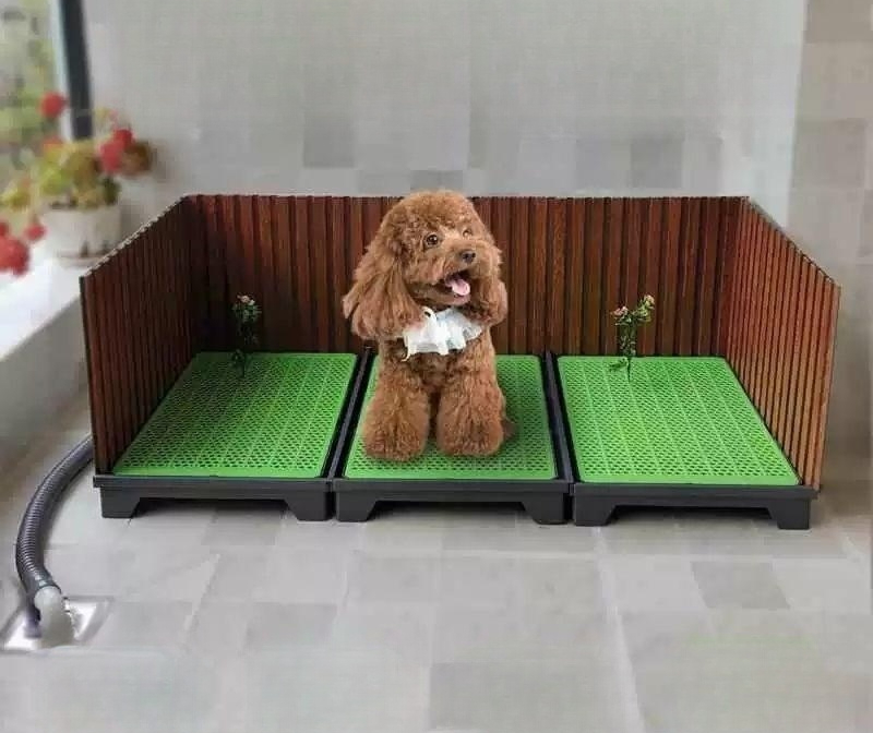고양이자동화장실 대형 냄새제거 자동청소 배변통 밀폐식 서랍형 오픈 시스템 - 상품 이미지