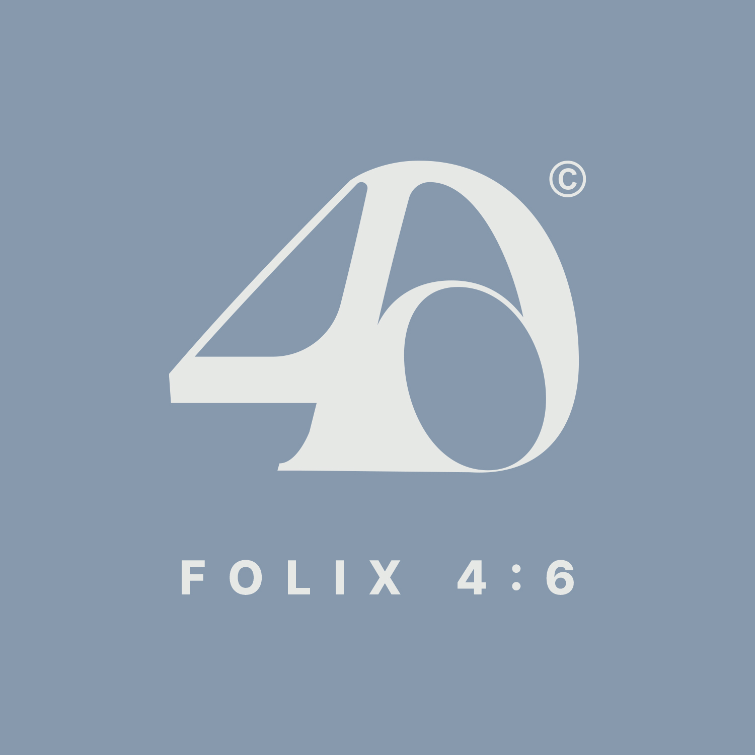 FOLIX 스토어 로고