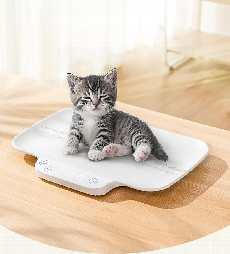 반려동물 펫체중계 정밀저울 강아지 고양이 몸무게 측정 건강관리 스마트 체중기 - 상품 이미지