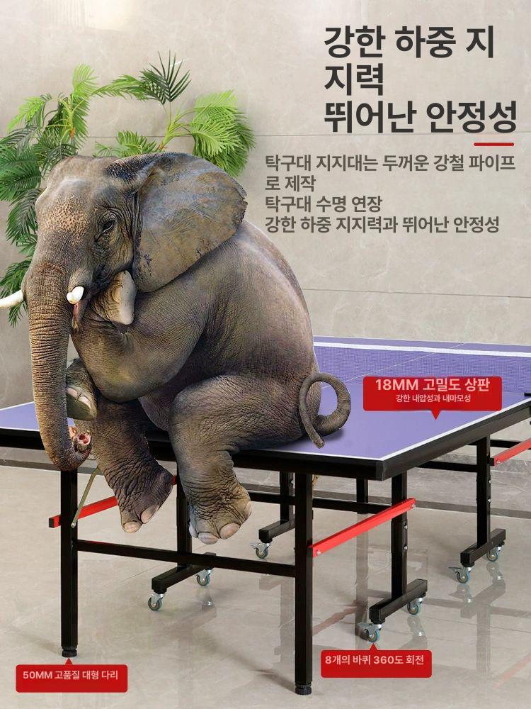 접이식 탁구대 군부대 바퀴포함 학교 펜션 사이즈 탁구장 다이 휠리스 입문용 상판 - 상세 이미지 4