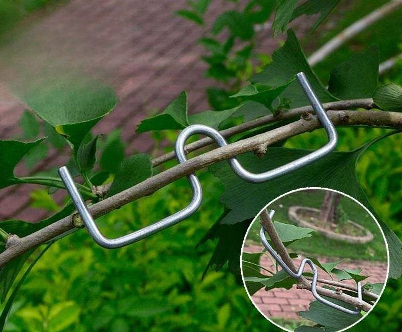 과수원 고정대 철제 유인추 줄기 식물 과일나무 가지유인 철사 고정기구 고정핀 - 상세 이미지 2