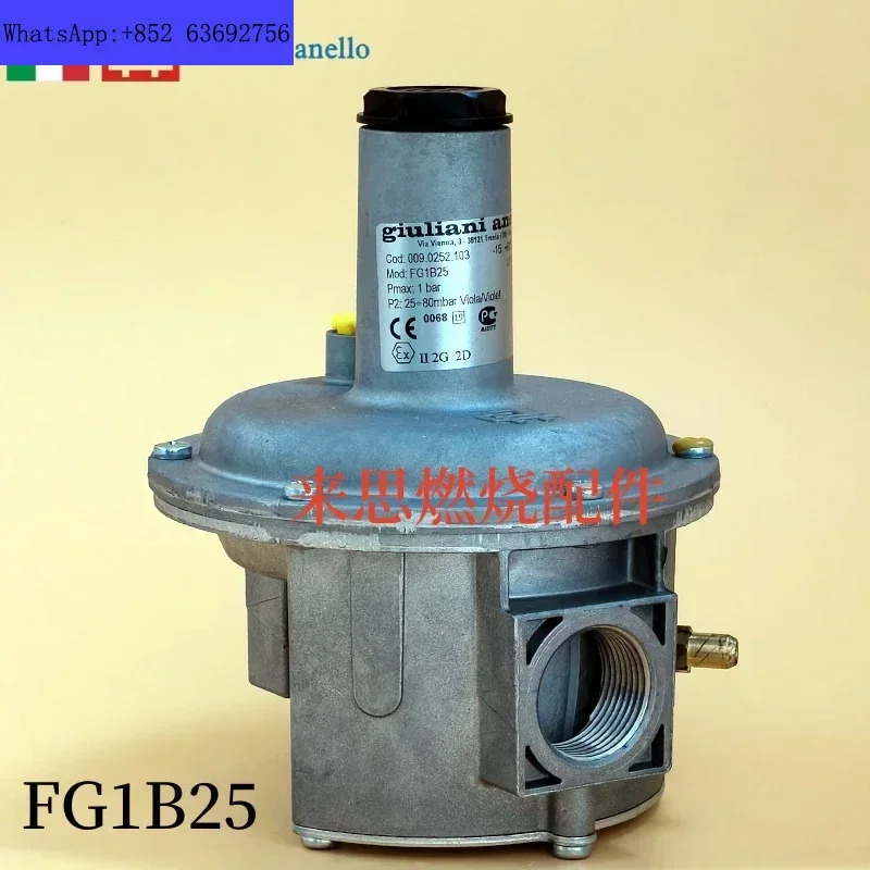 Giuliani vallvula FG1B15 20 25 32 40 50 이탈리아